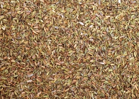 高清晰金色茴香谷物调料食材壁纸