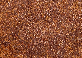 高清晰食材-茴香花椒胡椒佐料集锦壁纸