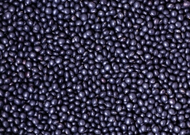 高清晰黑大豆壁纸