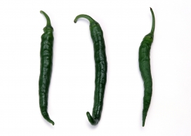 高清晰长长的绿色青椒壁纸