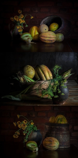 Still life-静物摄影