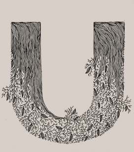 Typography Sketchbook手工钢笔印刷排版字体插画设计