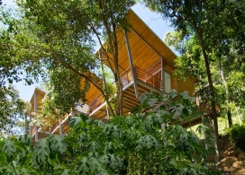 哥斯达黎加的森林屋