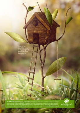 Woodland Trust林地信托公益平面广告