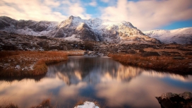 雪山草沼泽壁纸