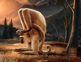 古代的瑜伽士-印度Divyayog平面广告