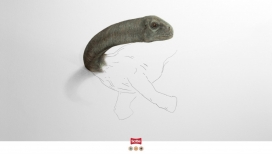 Scribe-手绘动物虚实创意平面广告