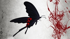 黑色红花蝴蝶