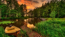 绿色沼泽湖码头美景