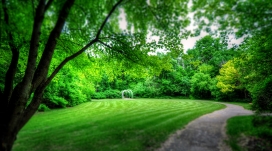 绿色草坪公园壁纸