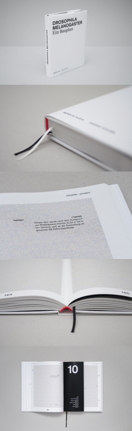 基因组结构视觉印象宣传册设计