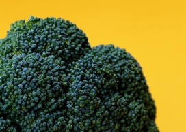 高清晰花菜壁纸