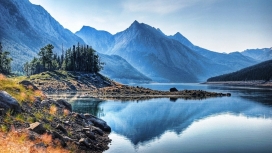 高山树木湖岸边