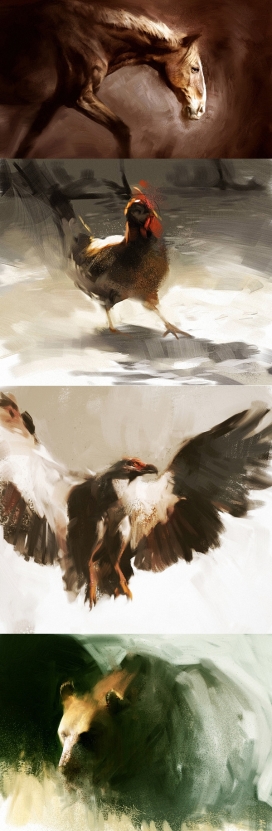 Animals-手绘动物插画