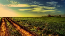 绿色田野-车轮路