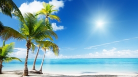 椰树风情-热带蓝色海滩