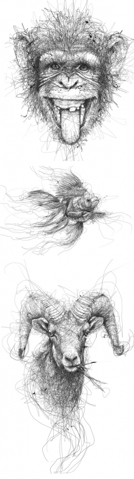 Animal-疯狂手绘动物素描插画