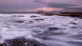 紫色的海洋漂浮岩石