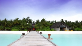 马尔代夫木质码头壁纸