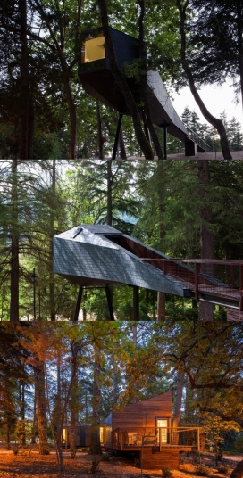 大自然中生态友好树屋酒店-坐落在葡萄牙，郁郁葱葱的绿树环绕会让你觉得生活在童年幻想中