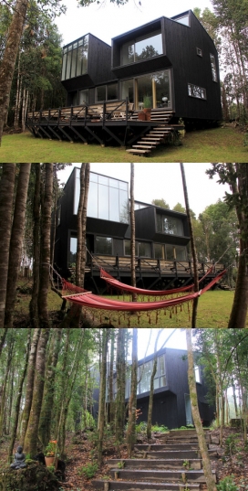 波多黎各巴拉斯的黑房子-设计师最大限度地发挥自然光，是一个开放的，公共空间，住宅厨房，餐厅，客厅建筑