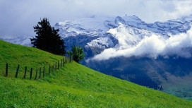 雪山绿色篱笆景观