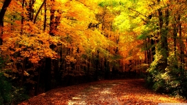 威斯康星州的秋天