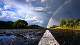 彩虹天空的道路树