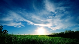 蓝天下的绿色草场壁纸