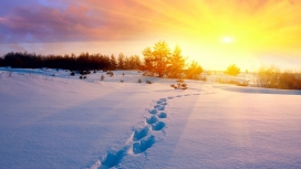日落下的雪路脚印