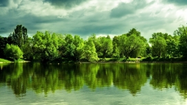 绿林湖倒影壁纸