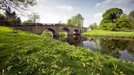 被绿色包围的石拱桥