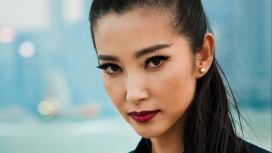 耀眼明星-李冰冰