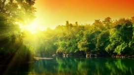 太阳树湖