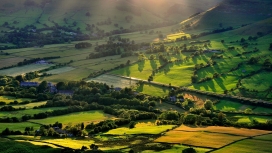 田野绿树植被-俯拍的绿色草坪山壁纸