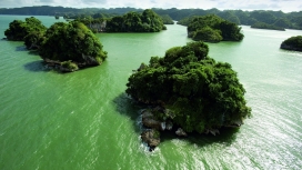 绿色海洋岛