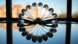 思考的艺术-环形花瓣