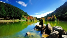 森林湖上空的岩石