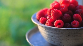 一碗新鲜的红色野草莓水果