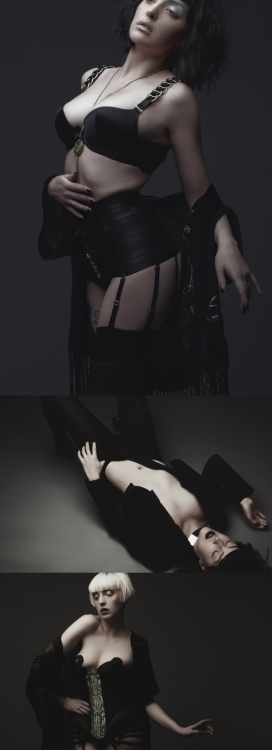 Black Dahlia黑色大丽花