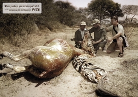 善待动物组织公益平面广告