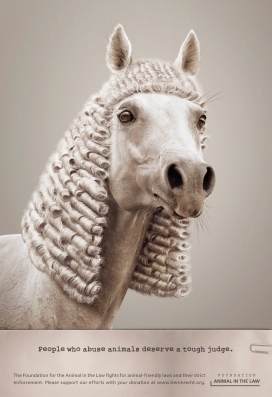 动物的法官-保护动物平面广告