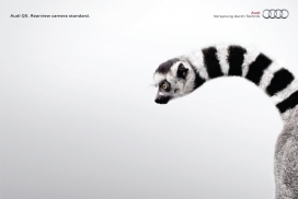 奥迪Q5尾部摄像头平面广告