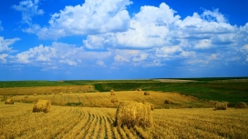 蓝天白云下的金色草垛壁纸