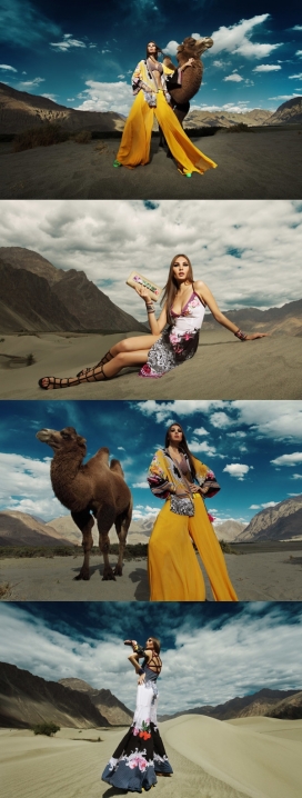 Rajdeep Ranawat-沙漠行