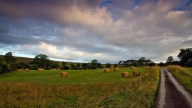 干草堆旁的黄泥路