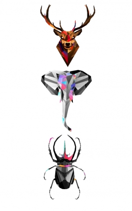 Beast Dreams野兽之梦-动物昆虫插画欣赏