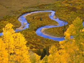 秋季蜿蜒河流壁纸