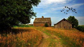 高清晰国外农场壁纸