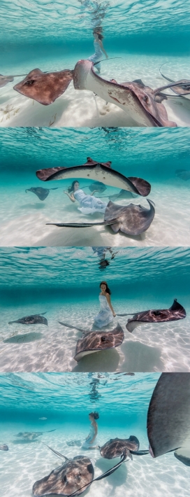 海底世界-黄貂鱼和女孩水下摄影